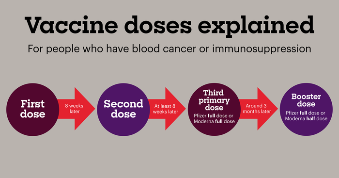 A diagram to explain the timeline of Covid-19 vaccines doses  from first dose to booster.