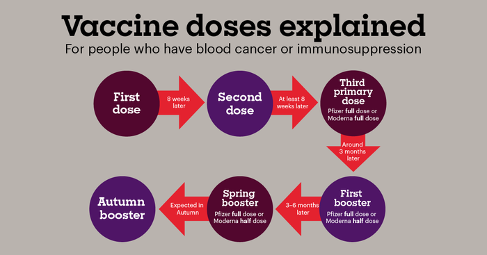 Infographic showing the expected vaccine dose schedule for people with blood cancer or immunosuppression, which is as follows: First dose, second dose, third primary dose, First booster, Spring booster, Autumn booster (expected in Autumn 2022).
